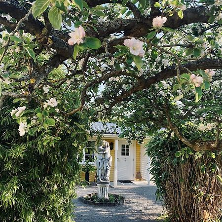 Villa Sol B&B And Hostel Borgholm község Kültér fotó